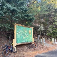 画像486