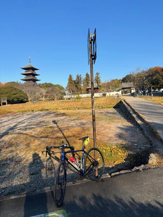 画像495