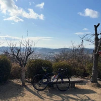 画像524