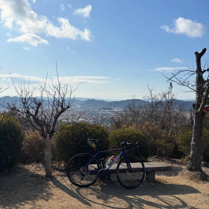 画像524