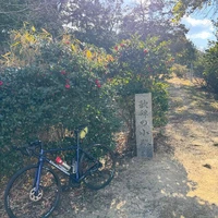 画像526