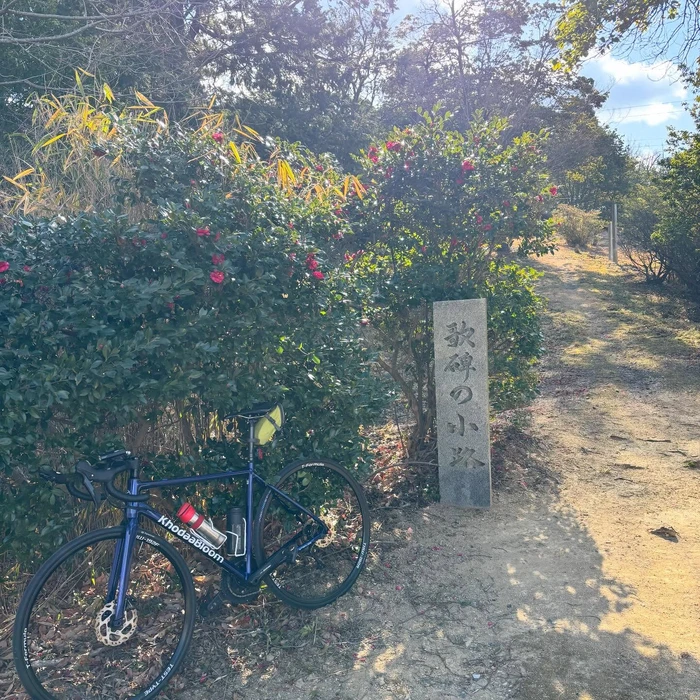 画像526