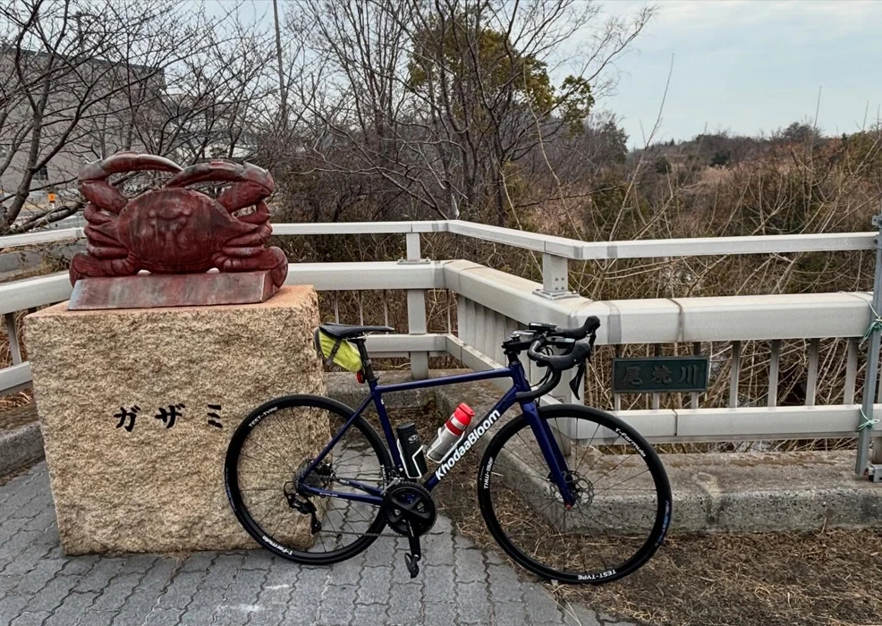 画像534