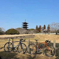 画像538