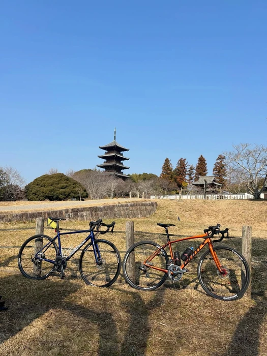 画像538